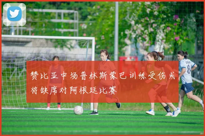 赞比亚中场普林斯蒙巴训练受伤或将缺席对阿根廷比赛
